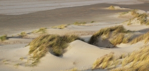 Strand und Sanddünen am Ärmelkanal bei Calais