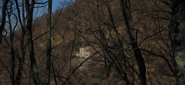 Einsames Steinhaus mitten im Wald; hier wohnt Maria mit ihren Kindern
